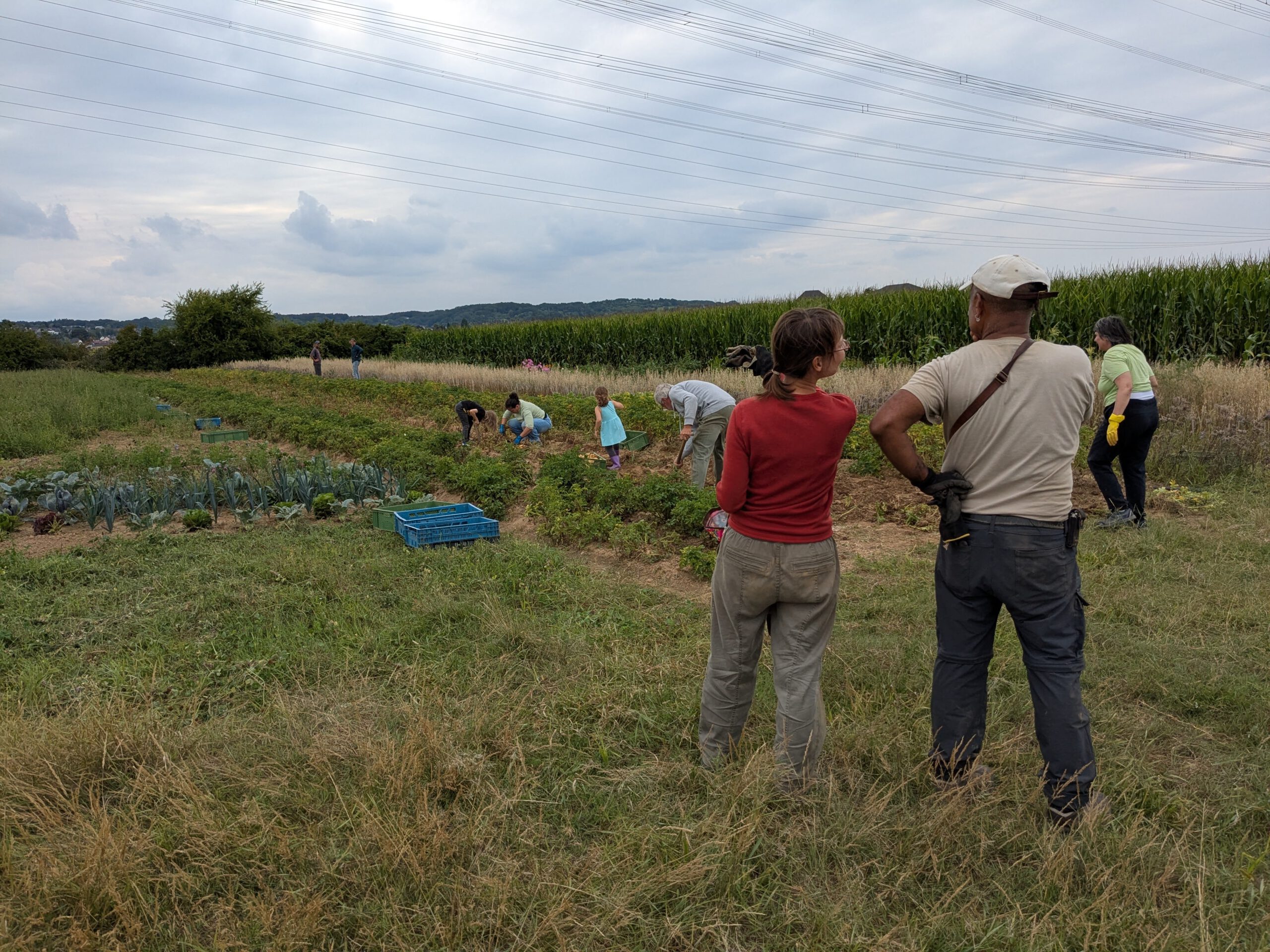 Mehr über den Artikel erfahren Vom Acker bis ins Fernsehstudio: Unser Rückblick auf einen heißen Herbst
